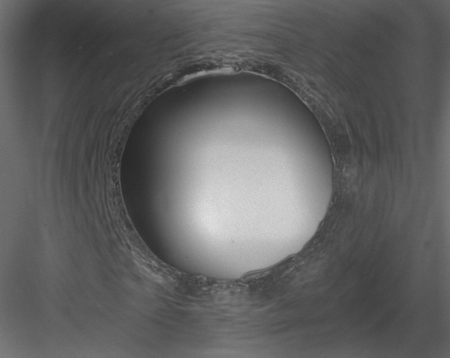 X0000084030865200702232256