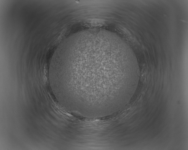 X0000084030866200702232256