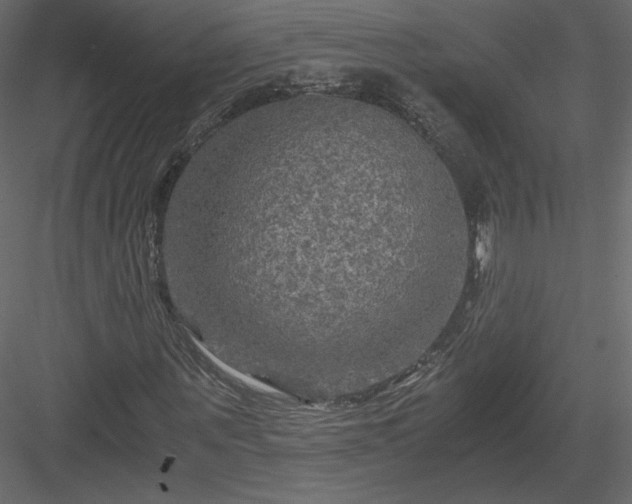 X0000084030867200702232256