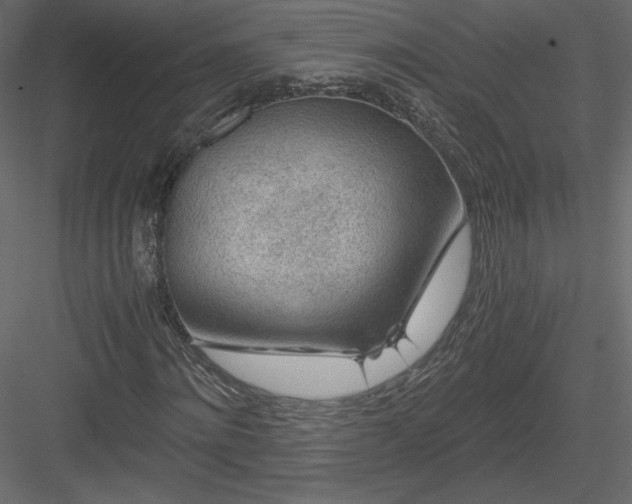 X0000084030868200702232256