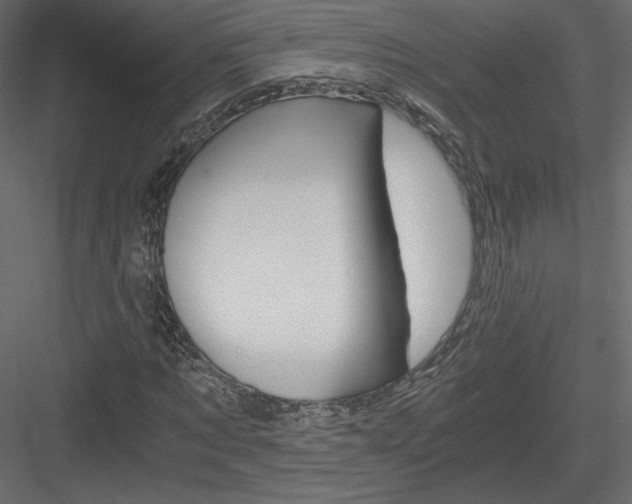 X0000084030869200702232256