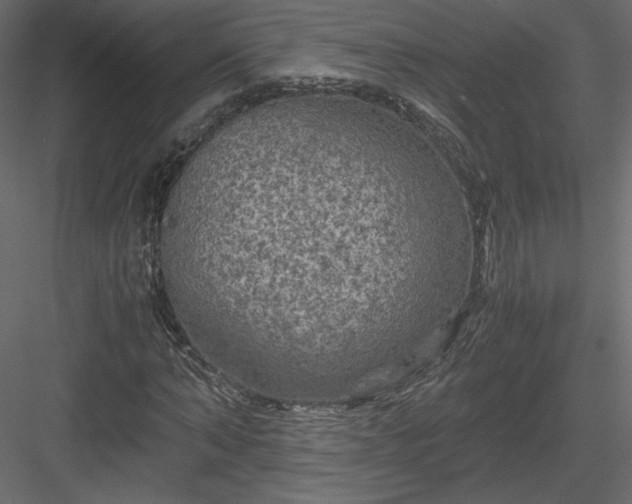 X0000084030870200702232255