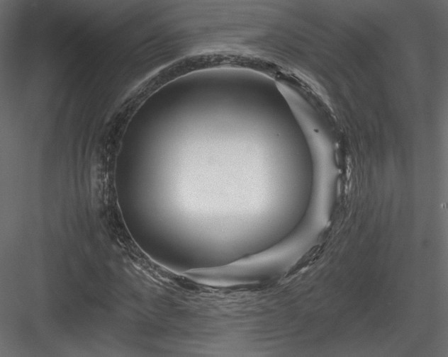 X0000084030872200702232255