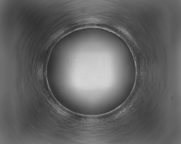 X0000084030873200702232255