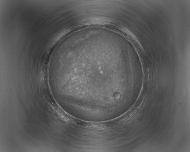 X0000084030874200702232255