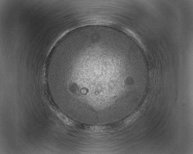 X0000084030875200702232255