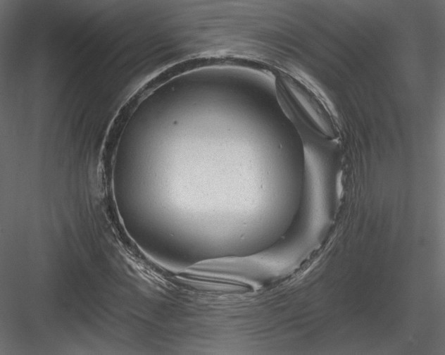 X0000084030876200702232255