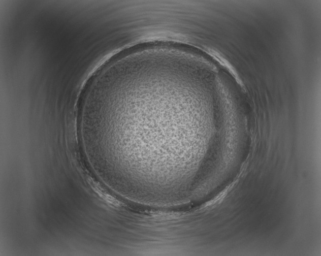 X0000084030877200702232255