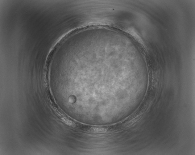 X0000084030878200702232255