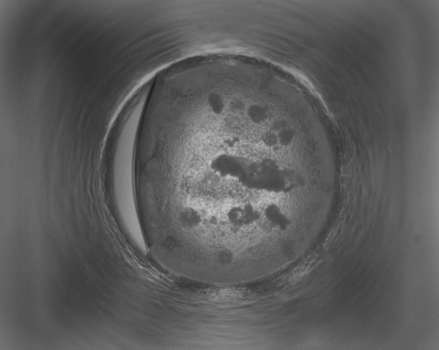 X0000084030879200702232255