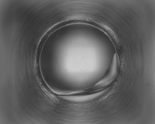 X0000084030880200702232255