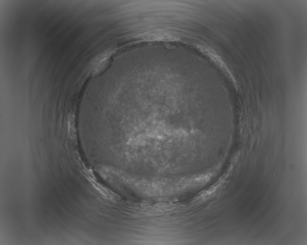 X0000084030881200702232255