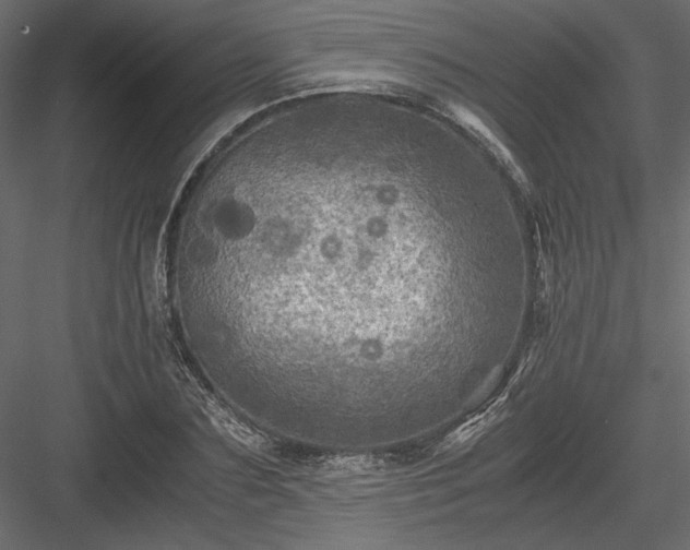 X0000084030883200702232255