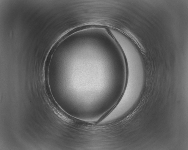 X0000084030884200702232255