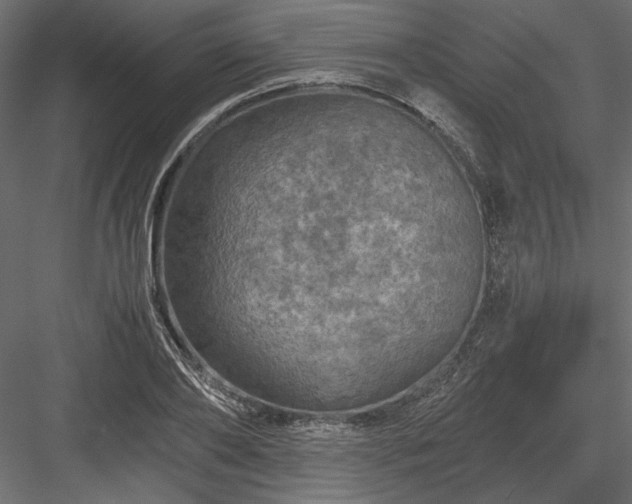 X0000084030886200702232255