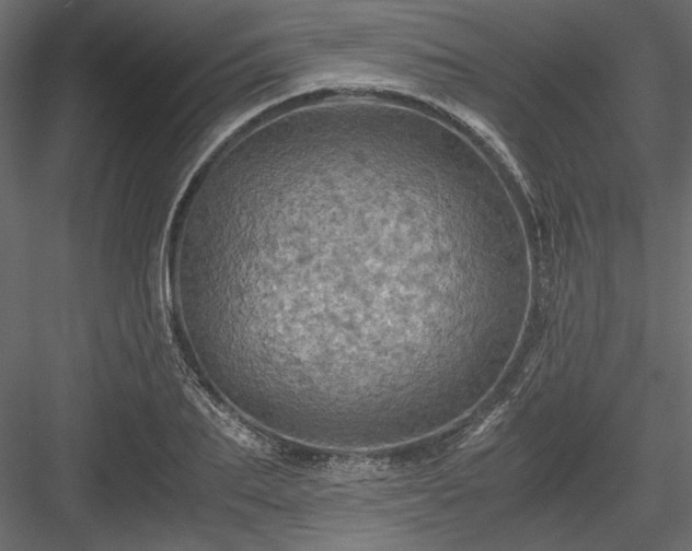 X0000084030887200702232255