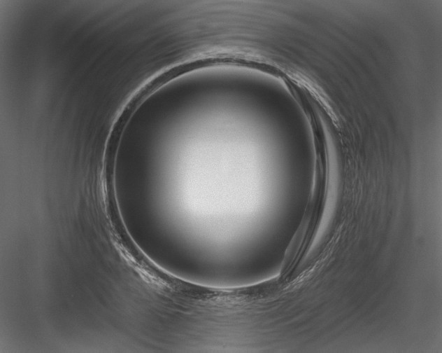 X0000084030888200702232255