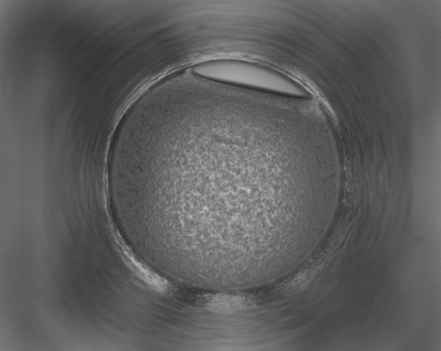 X0000084030890200702232255