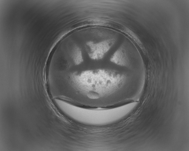 X0000084030891200702232255