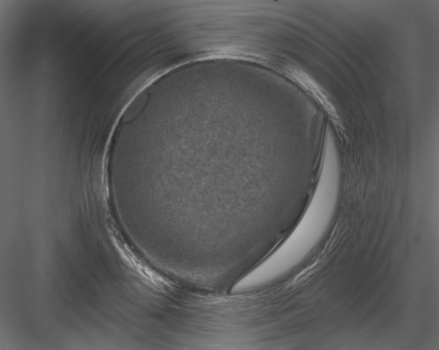 X0000084030892200702232255