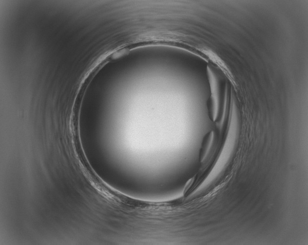 X0000084030893200702232255