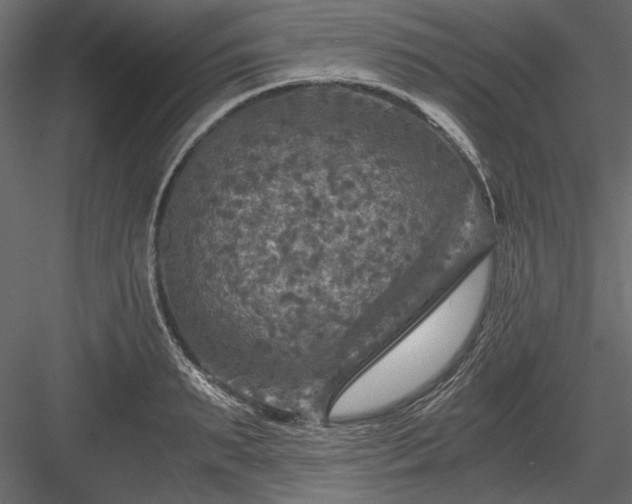 X0000084030895200702232255