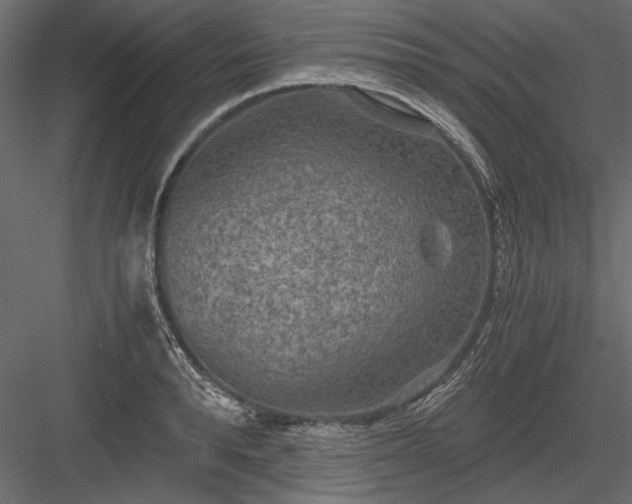 X0000084030896200702232255