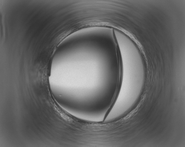 X0000084030897200702232255