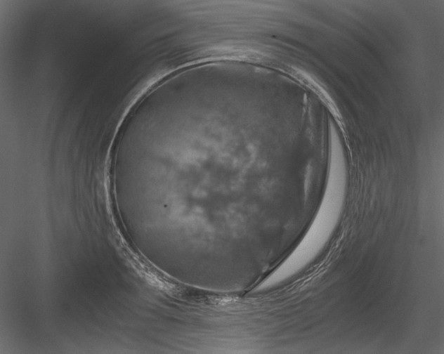 X0000084030899200702232255