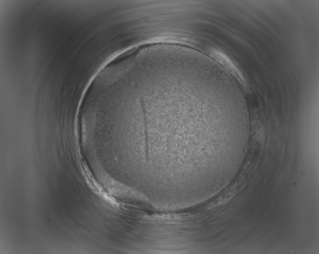 X0000084030900200702232255