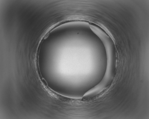 X0000084030901200702232255