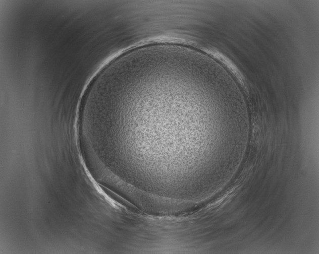 X0000084030902200702232255