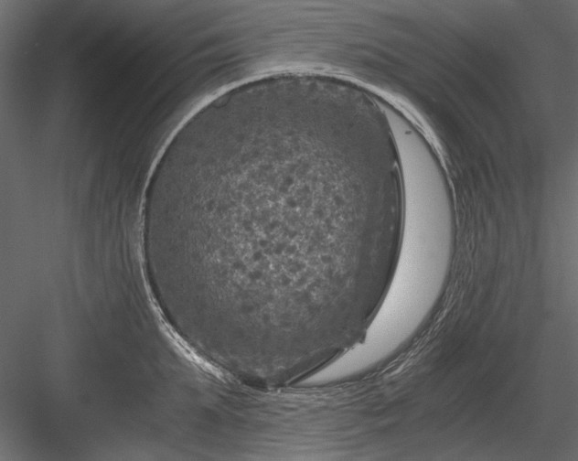 X0000084030903200702232255