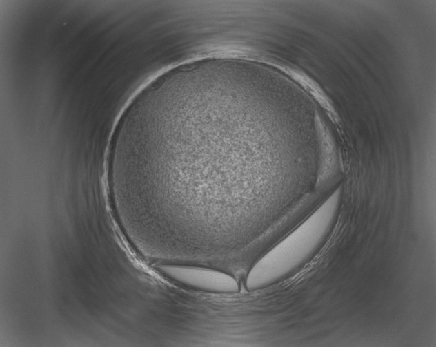 X0000084030904200702232255