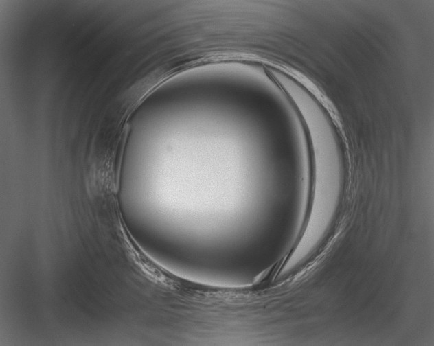 X0000084030905200702232255