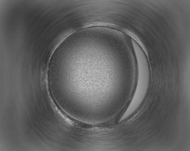 X0000084030906200702232255