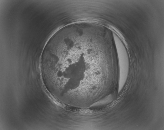 X0000084030907200702232255