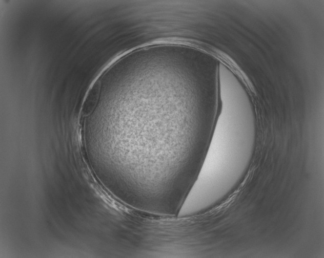 X0000084030908200702232255