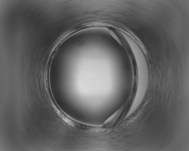 X0000084030909200702232255