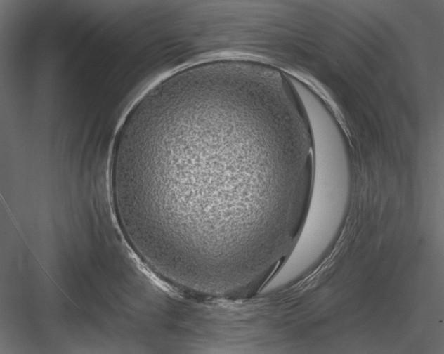 X0000084030910200702232255