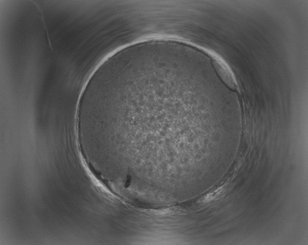 X0000084030911200702232255