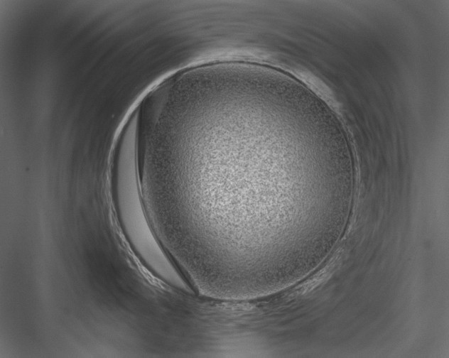 X0000084030912200702232255