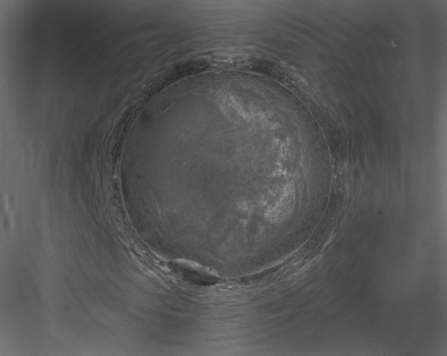 X0000084030913200702232254