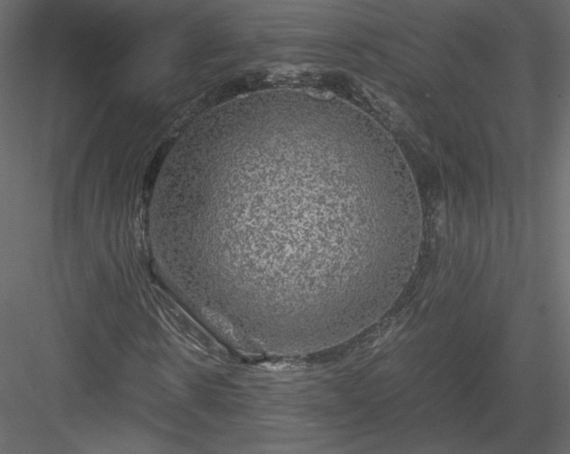 X0000084030914200702232254