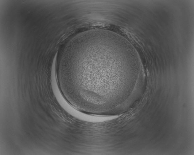 X0000084030916200702232254