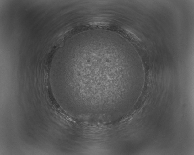 X0000084030917200702232254