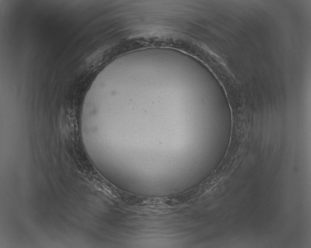 X0000084030918200702232254