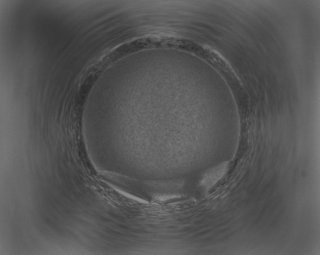 X0000084030919200702232254