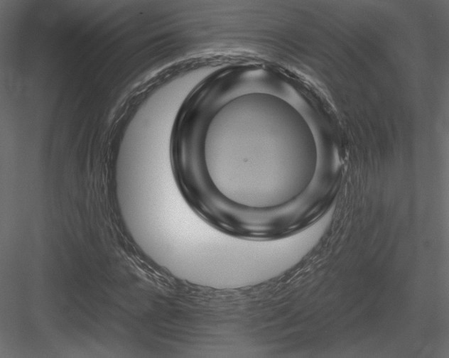 X0000084030920200702232254