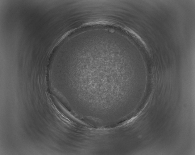 X0000084030921200702232254